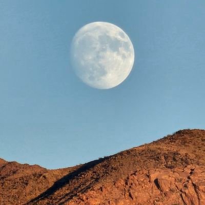 Psalm399's profile picture. Sede Vacante