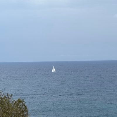 mezzi12302's profile picture. 