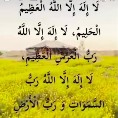 AhmdAlhady16971's profile picture.