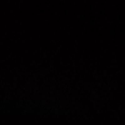 viola81149's profile picture. 