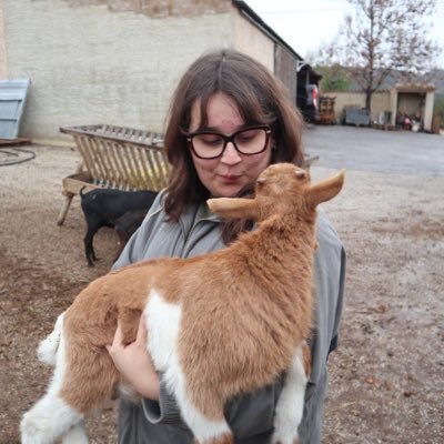 irenebeerenguer's profile picture. M'agraden les coses construïdes amb pedres i fang 📍Petrer