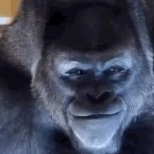 JacobHicksNTD's profile picture. 