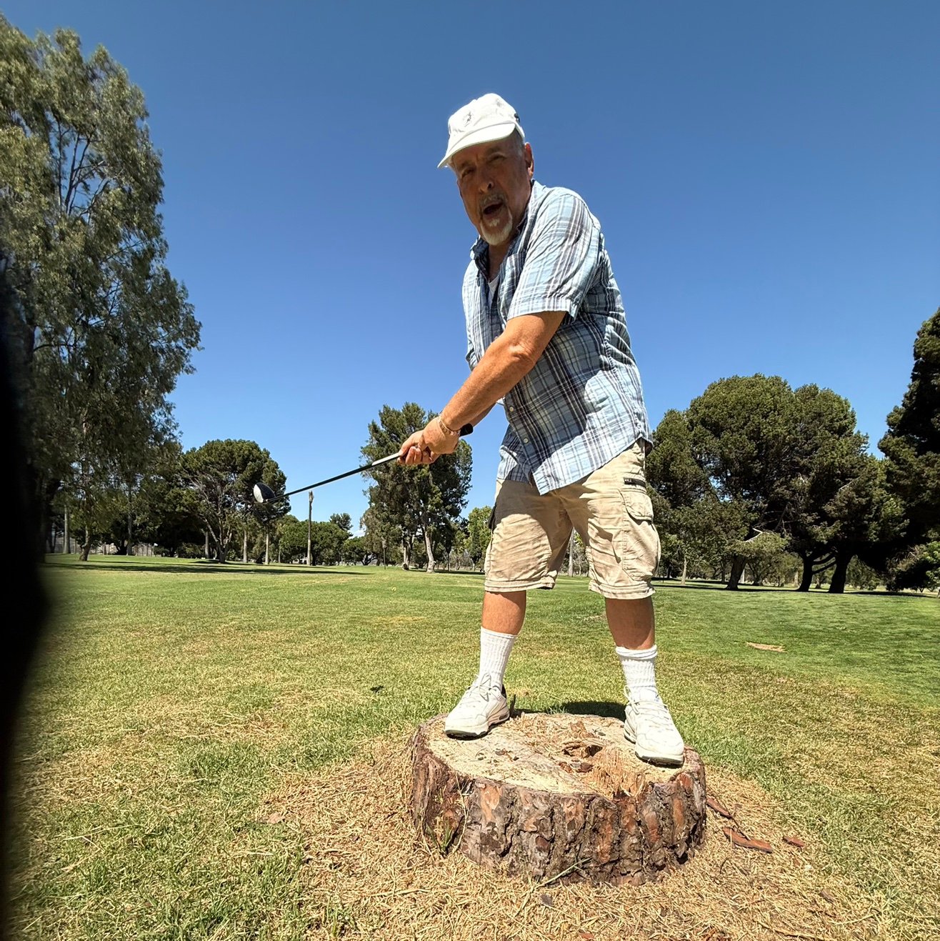 Arash1ino's profile picture. 