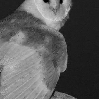 ch1ld0fspac3's profile picture. ⋆°.☾⋆.ೃ࿔*:⋆ᅠᅠᶜʰⁱˡᵈ ᵒᶠ ᵗʰᵉ ᵐᵒᵒⁿ ᵃⁿᵈ ᵗʰᵉ ᵗⁱᵈᵉ