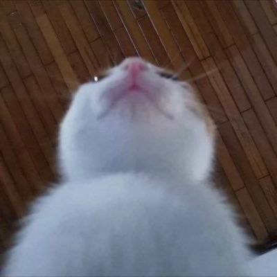 meemeeyyee's profile picture. 