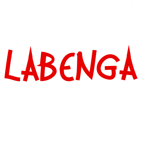 LabengaLabCoats's profile picture. GRAND OPENING: April7th, 2012! http://t.co/V6KI6BumpP The first and only company that sells lab coats with quirky designs!