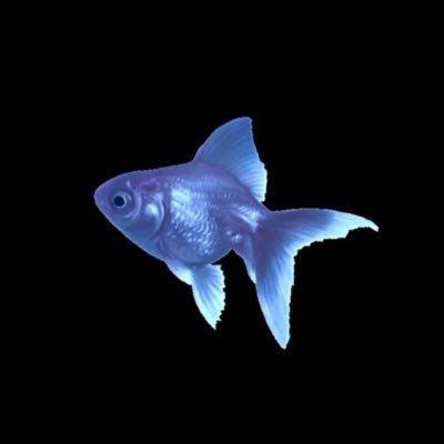 mothsound_'s profile picture. :)