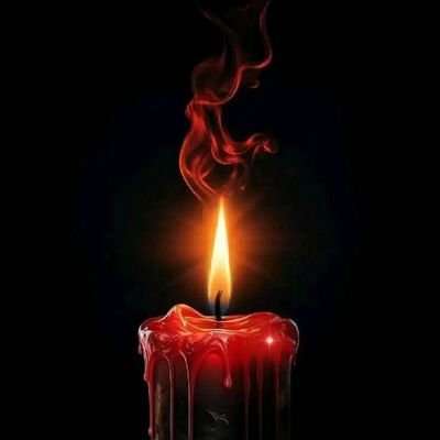 ywn1183778hich's profile picture. 