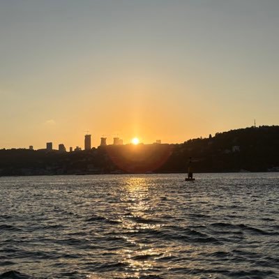 mirza240313's profile picture. 