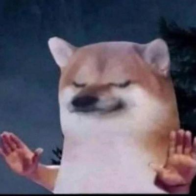 alleyzu03's profile picture. 🦋🧸

sloth🦥
| Multi Stan

| Thích càm ràm