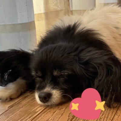 04_darr's profile picture. ❤️‍🩹