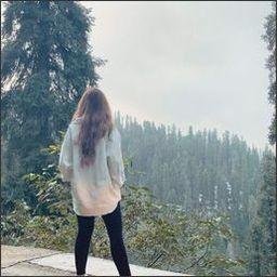 shammami7251852's profile picture. 