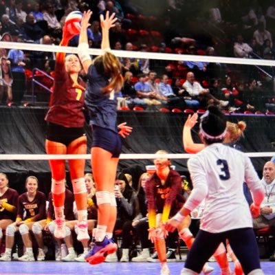 ACvolleyball26's profile picture. 