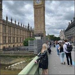 kienersibi41295's profile picture. 