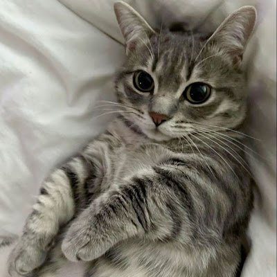 XointPoint's profile picture. 