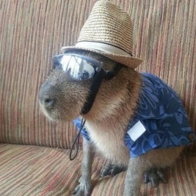 trashboht's profile picture. 