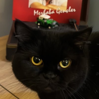 r0guzh's profile picture. Oğuzhan

Github: roguzh

@SuperteamTR member