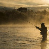 Dylan (@dylaninvest) 's Twitter Profile Photo