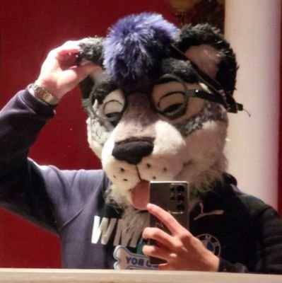 HUN / Fursuit maker / Artist / LVL 21 / University student