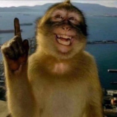 chrissavess's profile picture. 