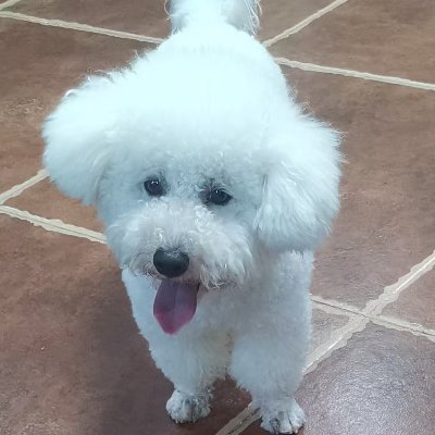 i54844102's profile picture. 只用来吃饭！😋
🐟🦑固定！