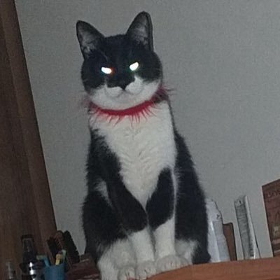 HedrestrNosrib's profile picture. 