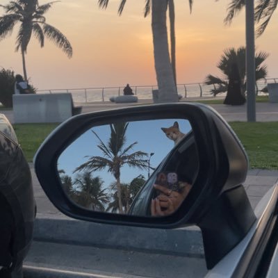 i5ul_'s profile picture. CATWOMEN