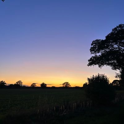WwfcCharlie's profile picture. wolves home and away 👊🧡