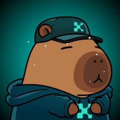 I believe in hard work and consistency, professional @kaitoai  yapper // member at @layerzerocore @monad @recall @fogo@endless @brevis @
@defitopapp
