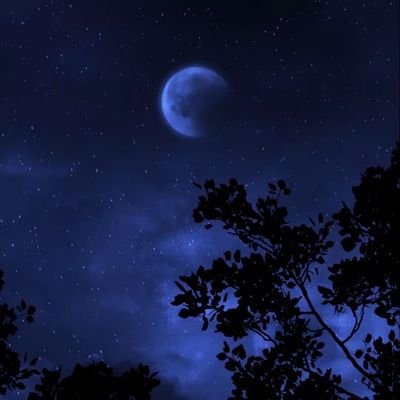 Houssem_xp's profile picture. 