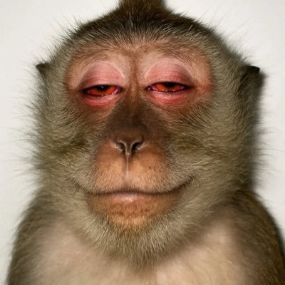 semerdekakusaja's profile picture. berani untuk merasa takut. #MIASANMIA