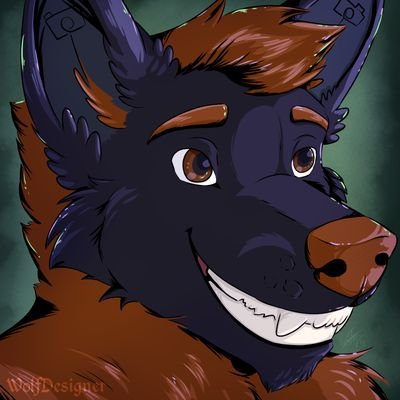 TIMBER_FALLSS's profile picture. I'm a part time photographer that loves the outdoors age (31) I'm a Timber wolf that lives in FL 🌴🥥🌴