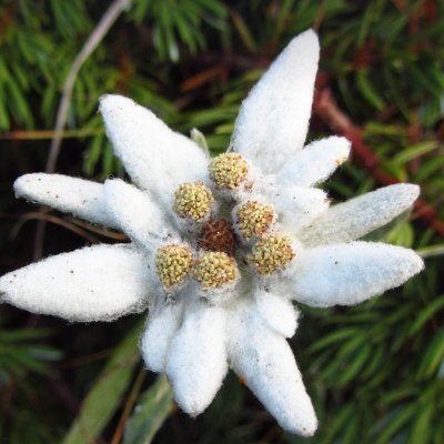 RenaissanceDE_'s profile picture. Deutschland ist in Not - es geht um Volk und Land.
Ein Kulturwandel ist notwendig.

Germany is in distress - the fate of its people and country is at stake.