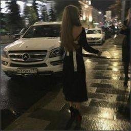 taubeclaus65383's profile picture. 