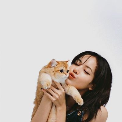 misschamoy's profile picture. ʙᴇᴀᴜᴛɪꜰᴜʟ ꜱᴜɴꜱᴇᴛ ɴᴇᴇᴅ ᴄʟᴏᴜᴅʏ ꜱᴋʏ.☁️