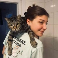 b'overshare (@bvallahitsnotme) 's Twitter Profile Photo