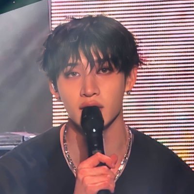 Bangchan bias Seokjin bias. 99’ liner 97’ rider saw SKZ 2023 & 2024!! Saw JHOPE 2025