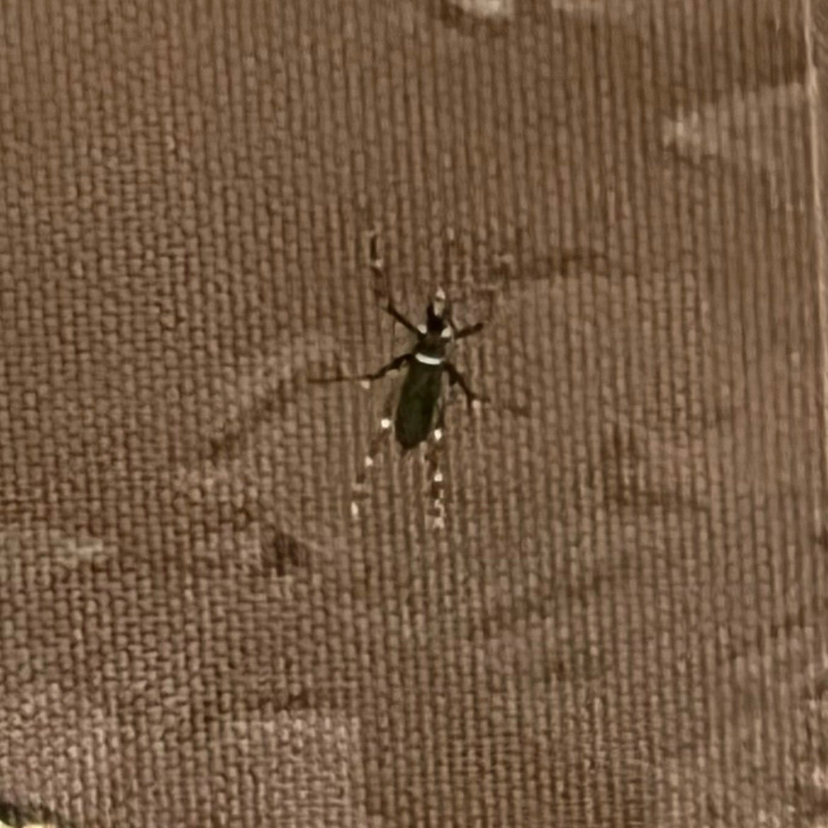 Miyahtfb's profile picture. 