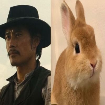 presidentinhoe's profile picture. 