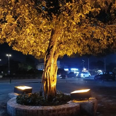 shanvess's profile picture. 