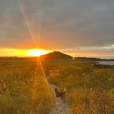 jen_malashevitz's profile picture. 