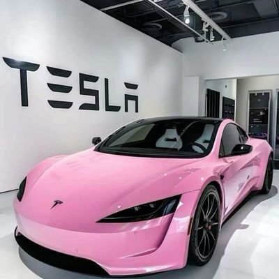 MichaelLew315's profile picture. SpaceX Falcon Tesla platform.