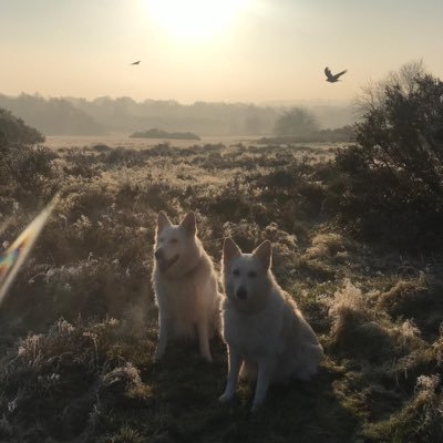 davejmansell's profile picture. if you have constructive critique fine, if you’re just hating for hates sake go fuck yourself.