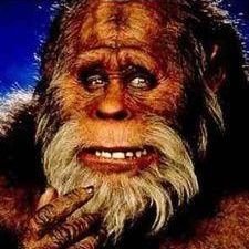 Nickdavies2104's profile picture. 🚀 Crypto enthusiast 🚀 | Trading insights & updates | Join my Telegram for exclusive tips: https://t.co/pEROYjF75K