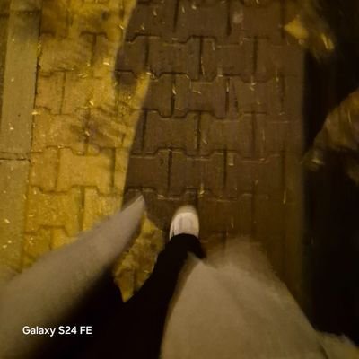 fatmaisprr's profile picture. insan yalnızca kendini değiştirebilir ve en görkemli devrim budur.