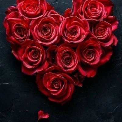hamid496444's profile picture. المملكة المغربية              777139102+212 fes