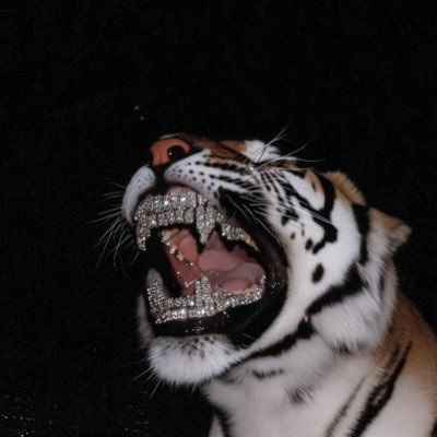 magnumkalash's profile picture. just my shooting range