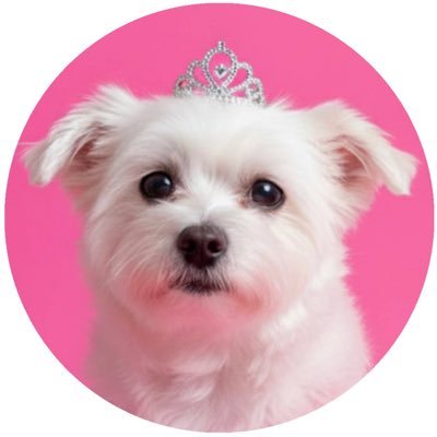 labling0113's profile picture. When life gives you lemons, squeeze them in the eyes of your enemies.