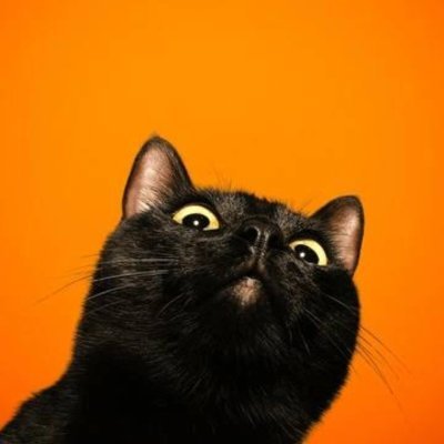 isuyashpatel's profile picture. Web3 Person
