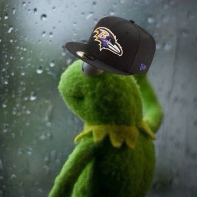 #RavensFlock #cantstopmenow